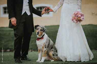 You can personalise your ceremony by writing your own vows, exchanging rings, add readings, you can even include your beloved pet on your big day, the list is endless.